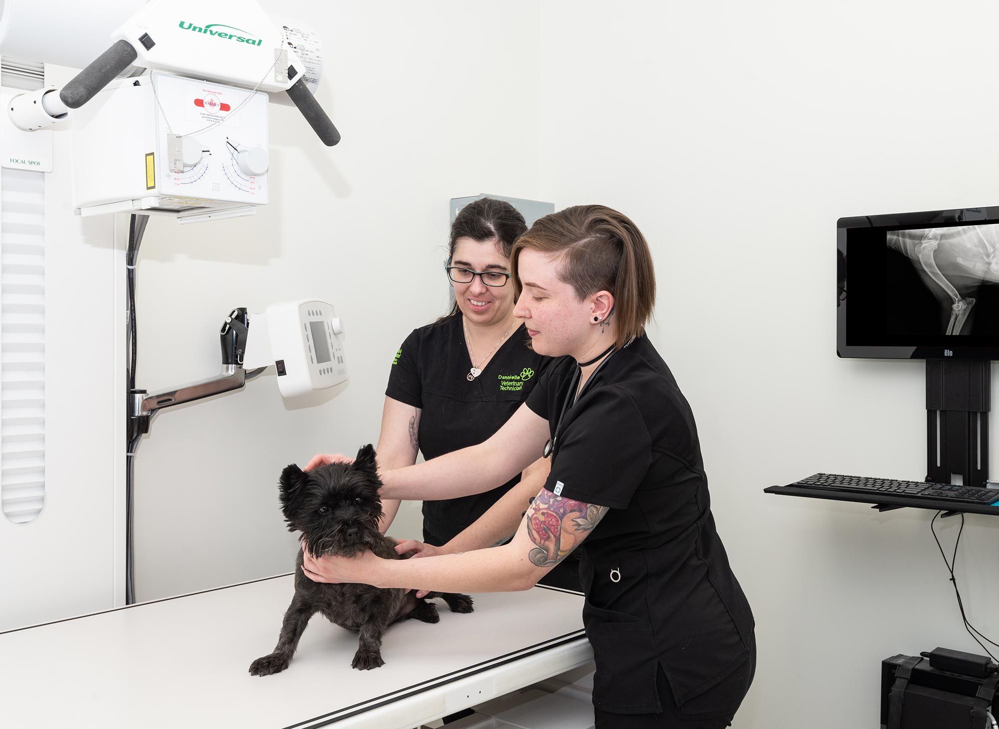Urgent and Emergency Veterinarians in Oakville, ON Southeast Oakville Vet