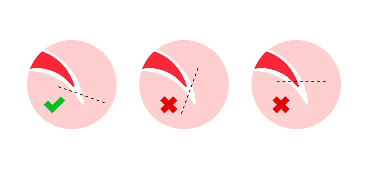 Dog Nail Trimming Guide