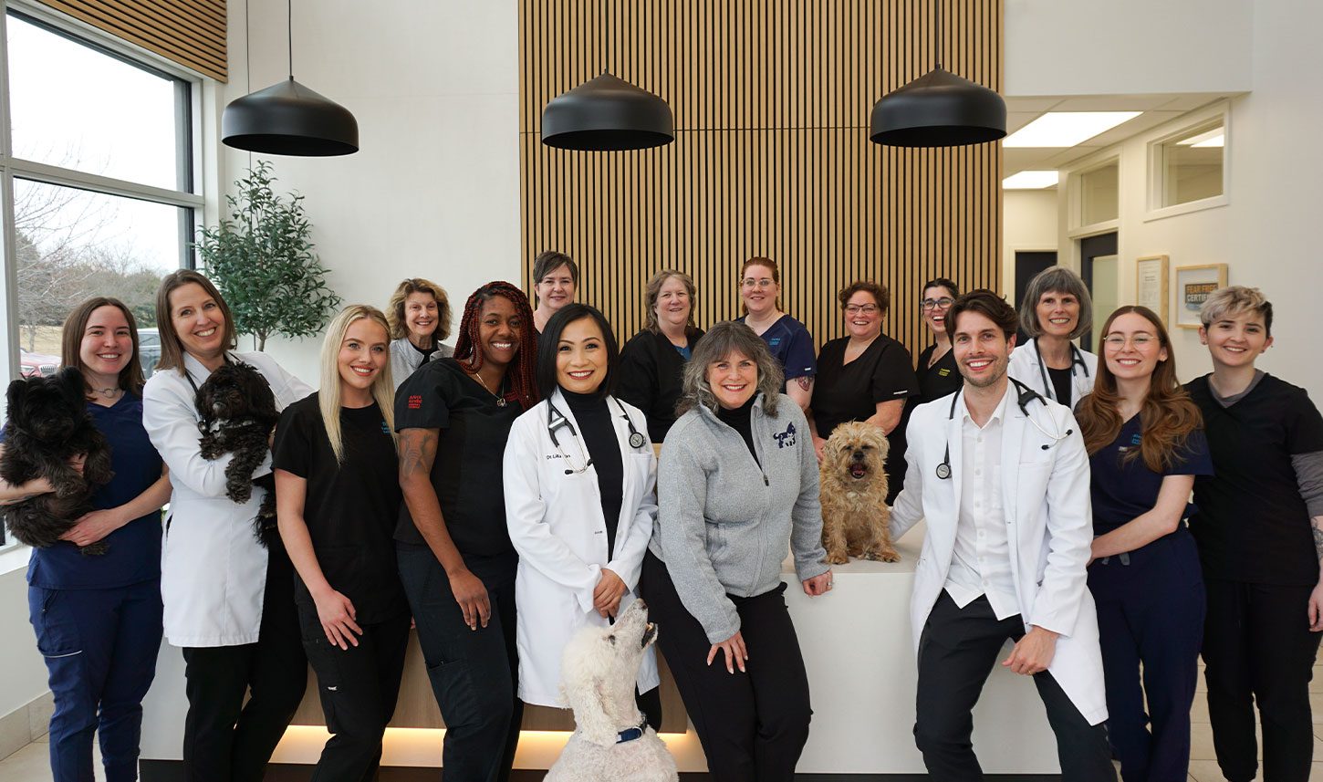 Southeast Oakville Veterinary Team With Dogs Southeast Oakville Veterinary Team With Dogs