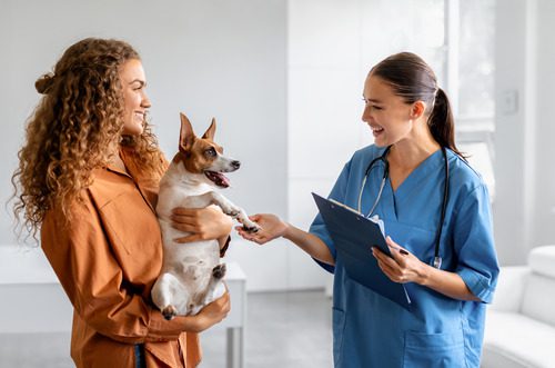 female-dog-owner-holding-her-dog-while-talking-with-female-vet-at-clinic