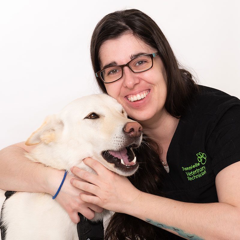 Dannielle Gauci, RVT | Southeast Oakville Vet