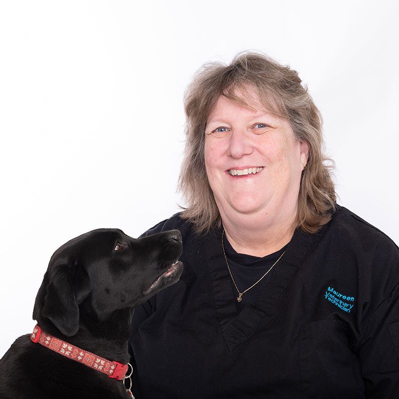 Maureen Haunts, AHT | Southeast Oakville Vet