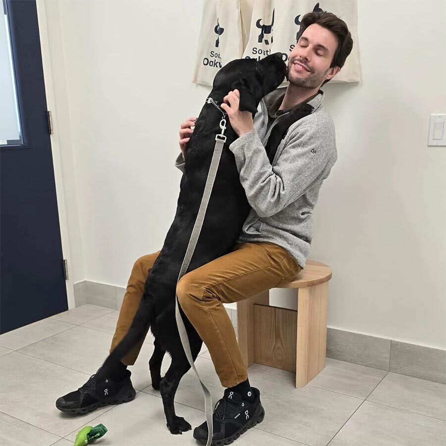 Black Lab Giving Kisses To Doctor