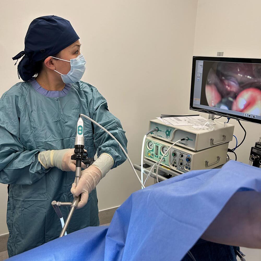 veterinarian performing laparoscopic spay