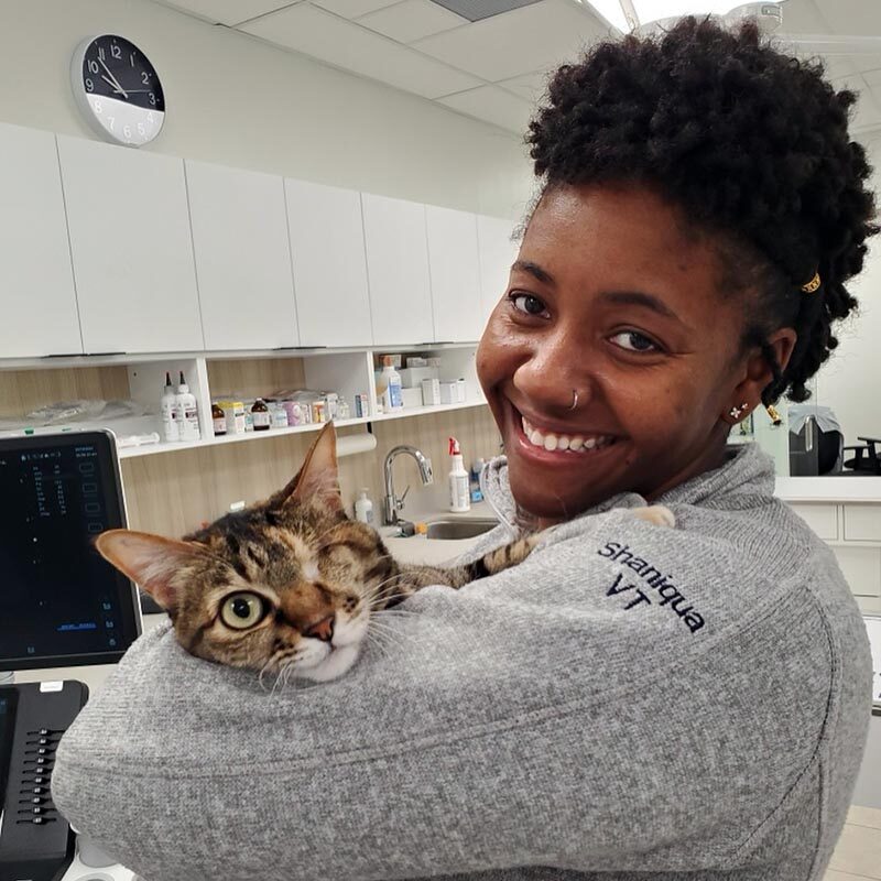 veterinarian Fear Free Certified Vet