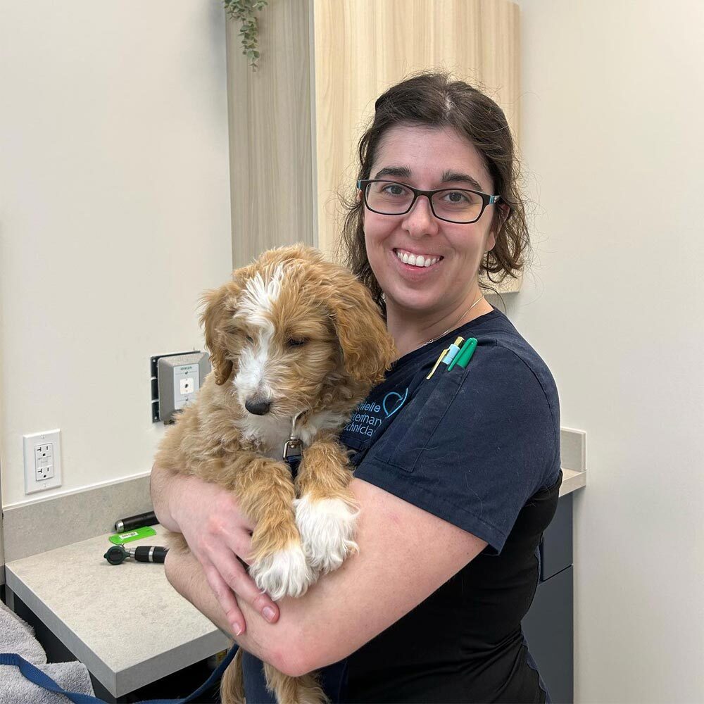 Staff Member Holding Fluffy Dog And Smiling